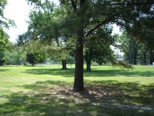 1134 Winburne Ln - Photo 3 of 23