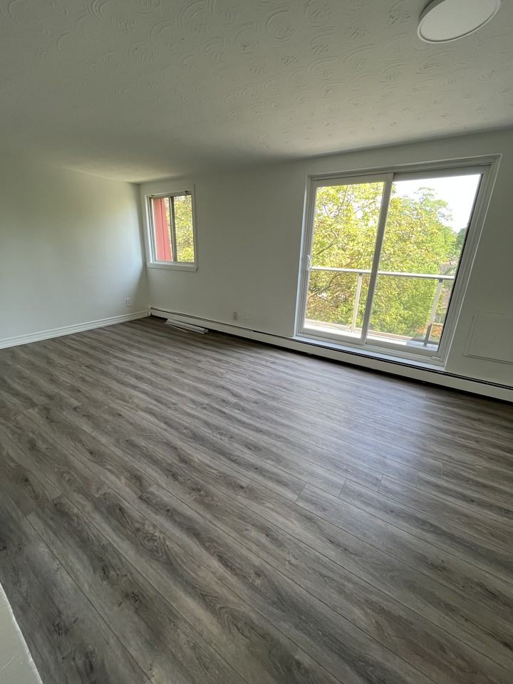 294 Saulsbury Street - Photo 6 of 32