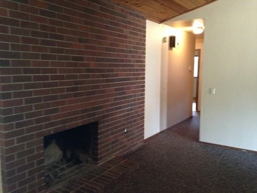 303 Paddock Ct - Photo 3 of 6