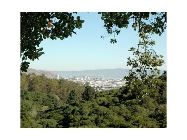 Crystal Springs Terrace - Photo 2 of 14