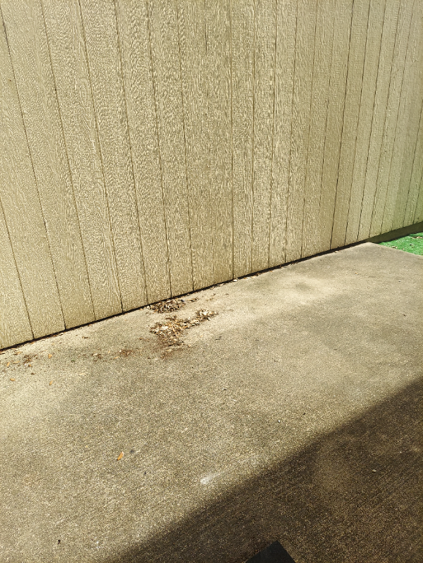 2406 Shenandoah Dr - Photo 3 of 19