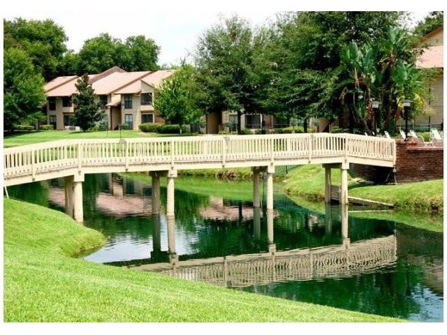 Carrollwood Station - Photo 3 of 10