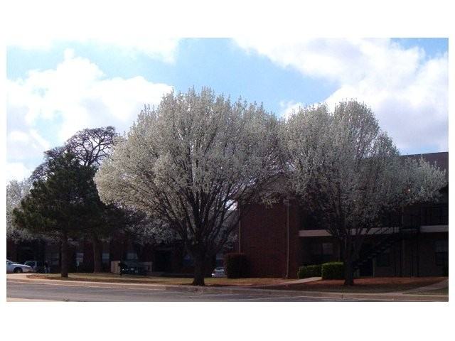 Oxford Oaks Apartments - Photo 2 of 35