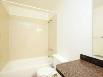 7331 Pinnacle Pines Dr - Photo 3 of 5