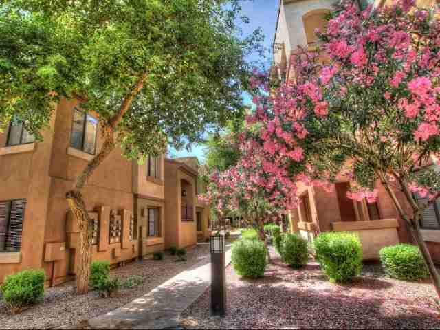 The Trails at San Tan - Photo 2 of 10