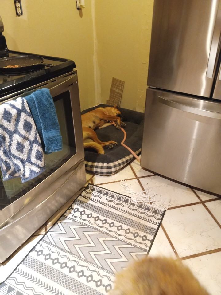 21655 W Harding St #NA - Photo 2 of 6