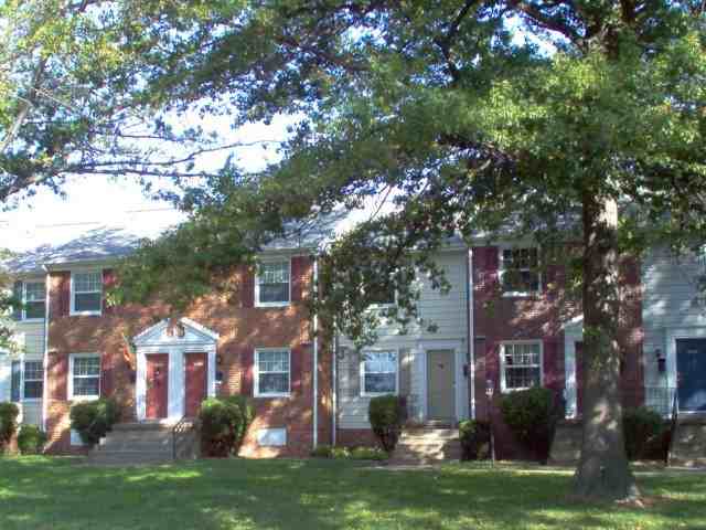 Williamsburg Park - Photo 2 of 10