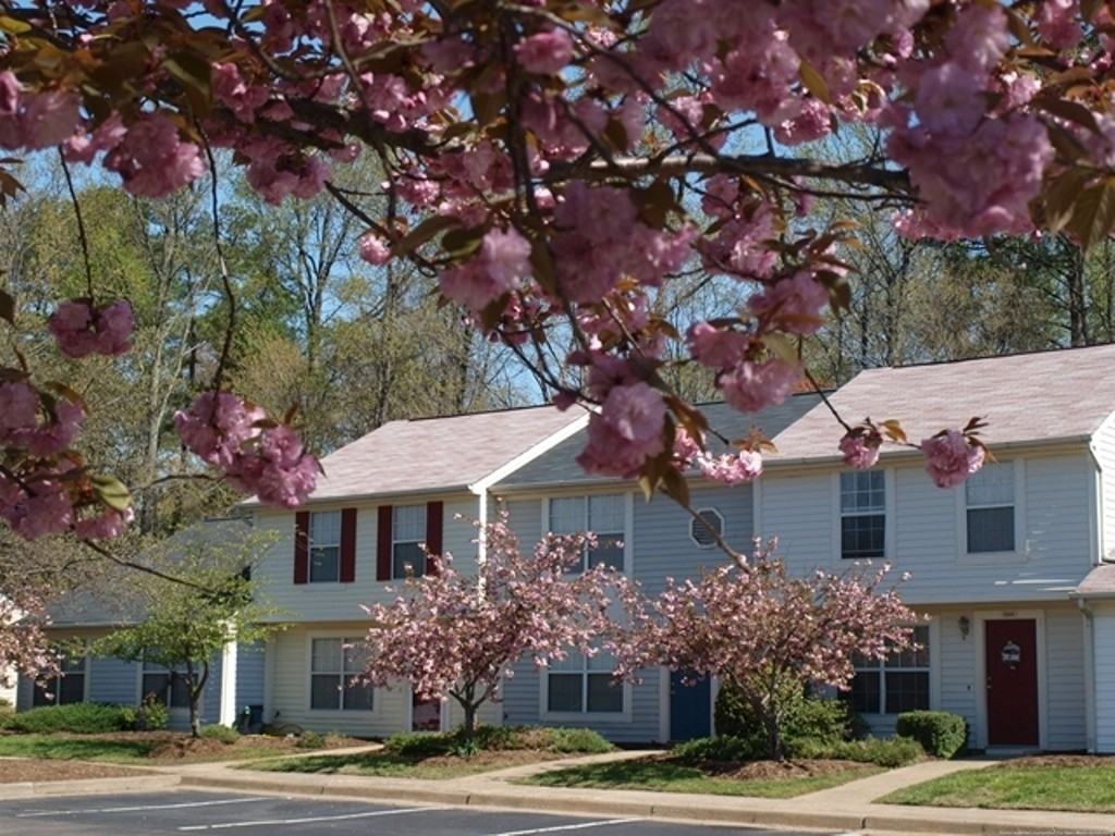 Hunter Woods - Photo 3 of 10