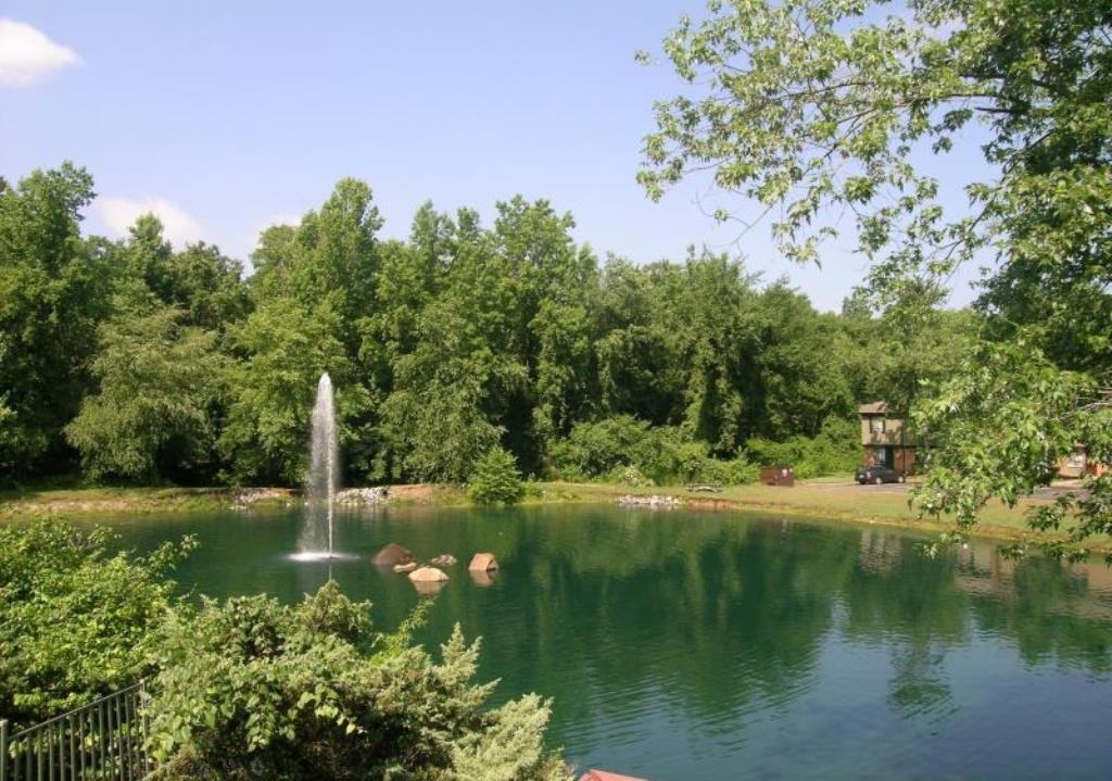 Manchester Lake - Photo 3 of 9