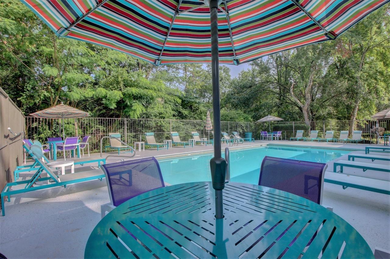 Muse - Photo 6 of 33