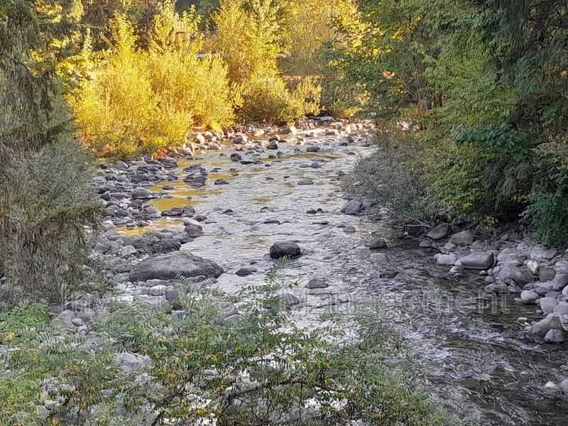 626 Silverbrook Rd - Photo 7 of 13