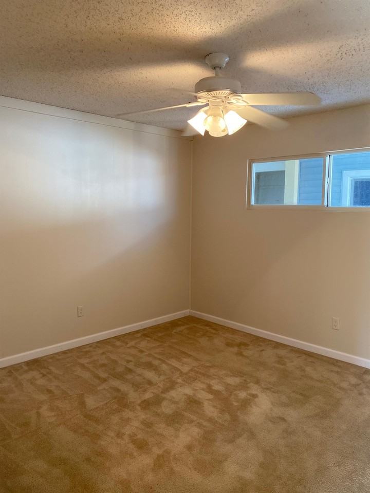 4000 Gulf Terrace Dr #238 - Photo 5 of 18