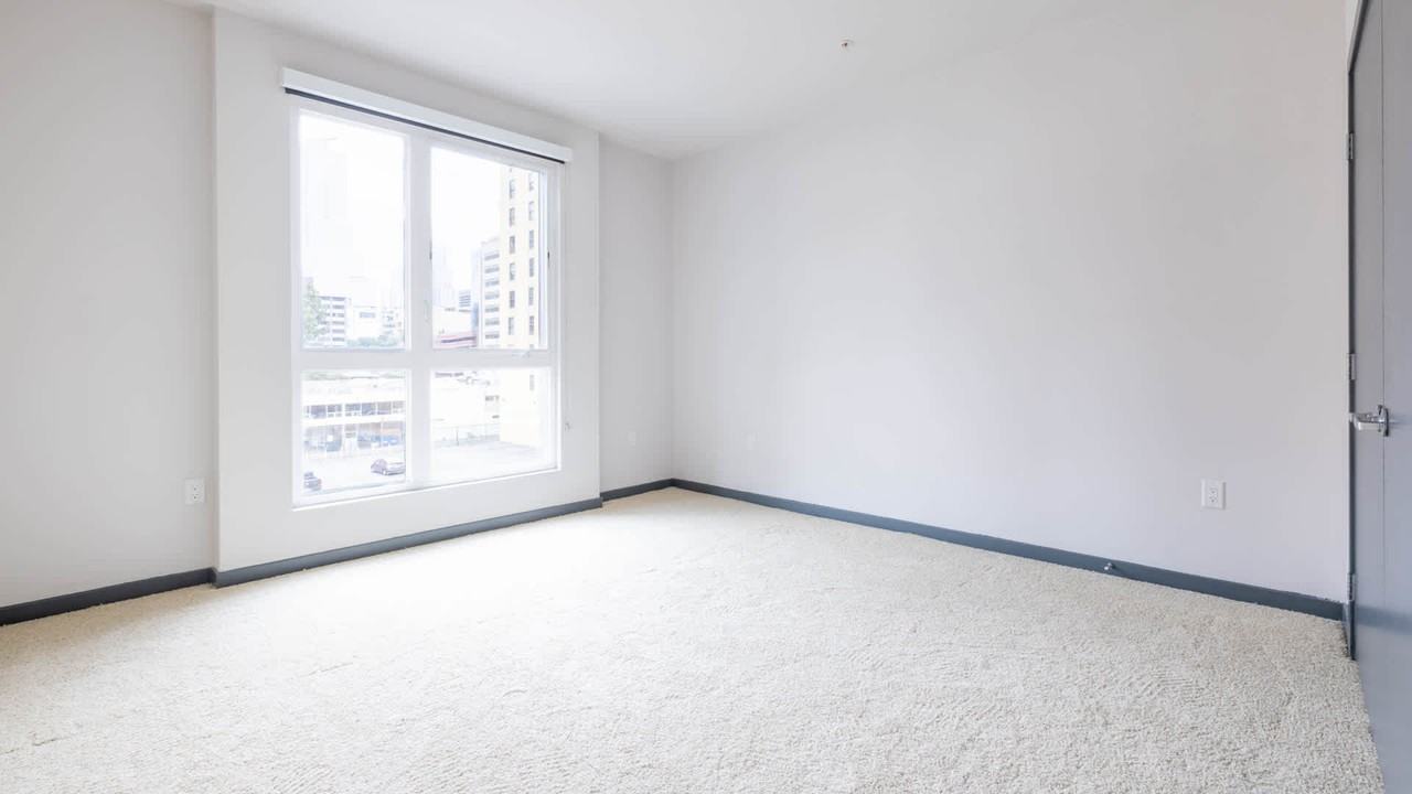 STOA - Photo 2 of 50