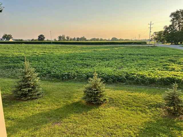 6637 Samaria Rd #B - Photo 2 of 29