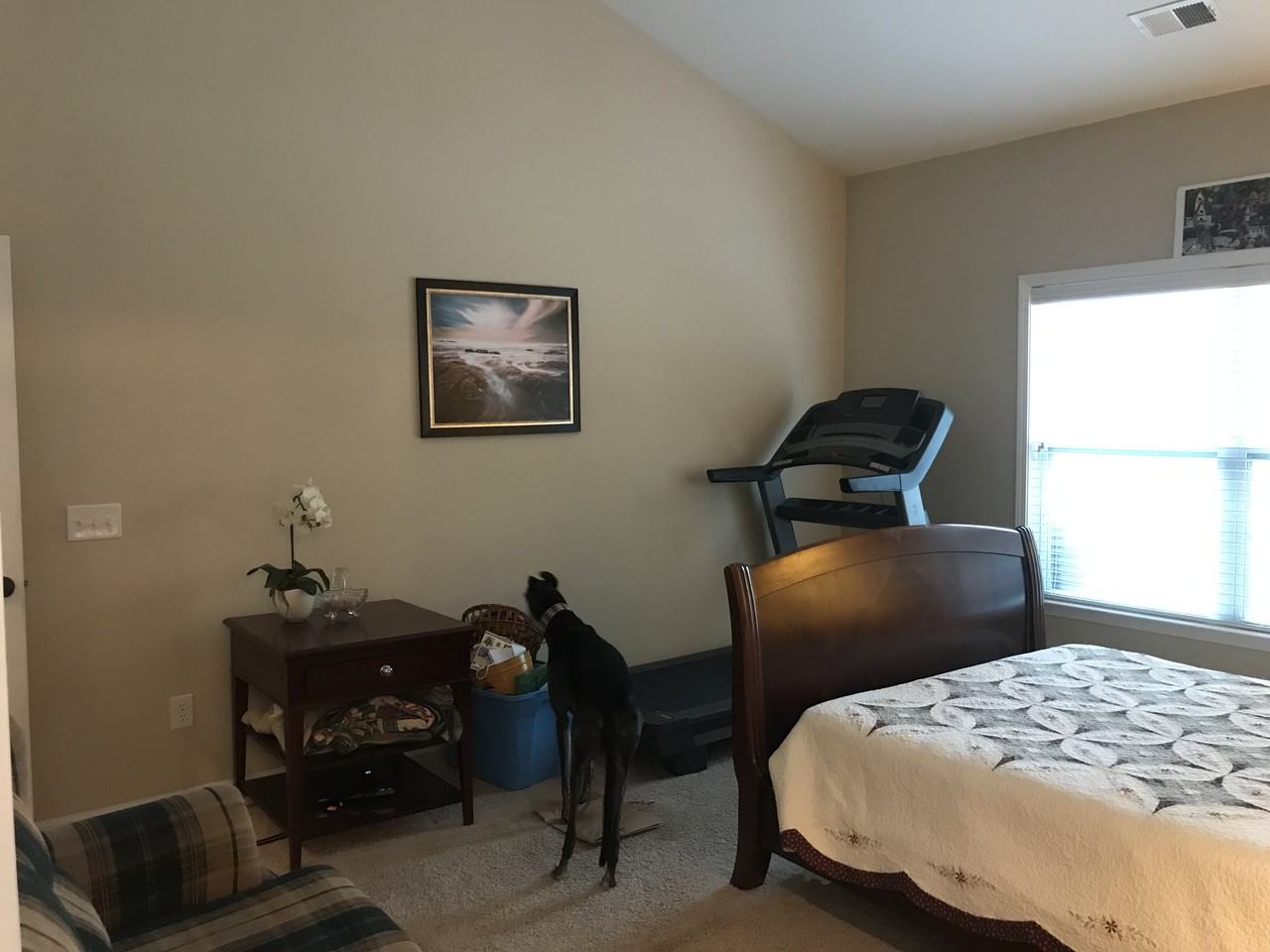 1926 Wild Indigo Way - Photo 2 of 22