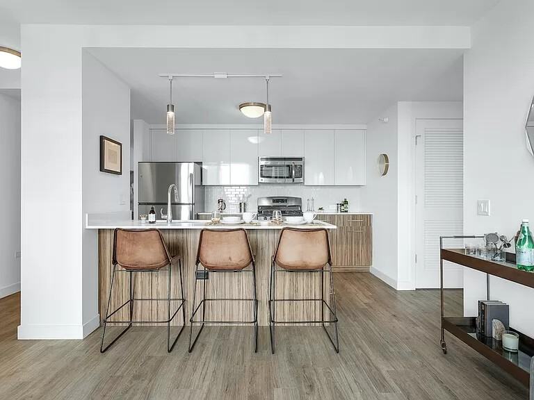 W Wolf Point Plz 5201, Chicago, IL 60654 3 Bedroom Apartment for