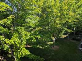 featured image of 10857 S Shore Dr #1