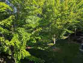 10857 S Shore Dr #1 - Photo 1 of 1