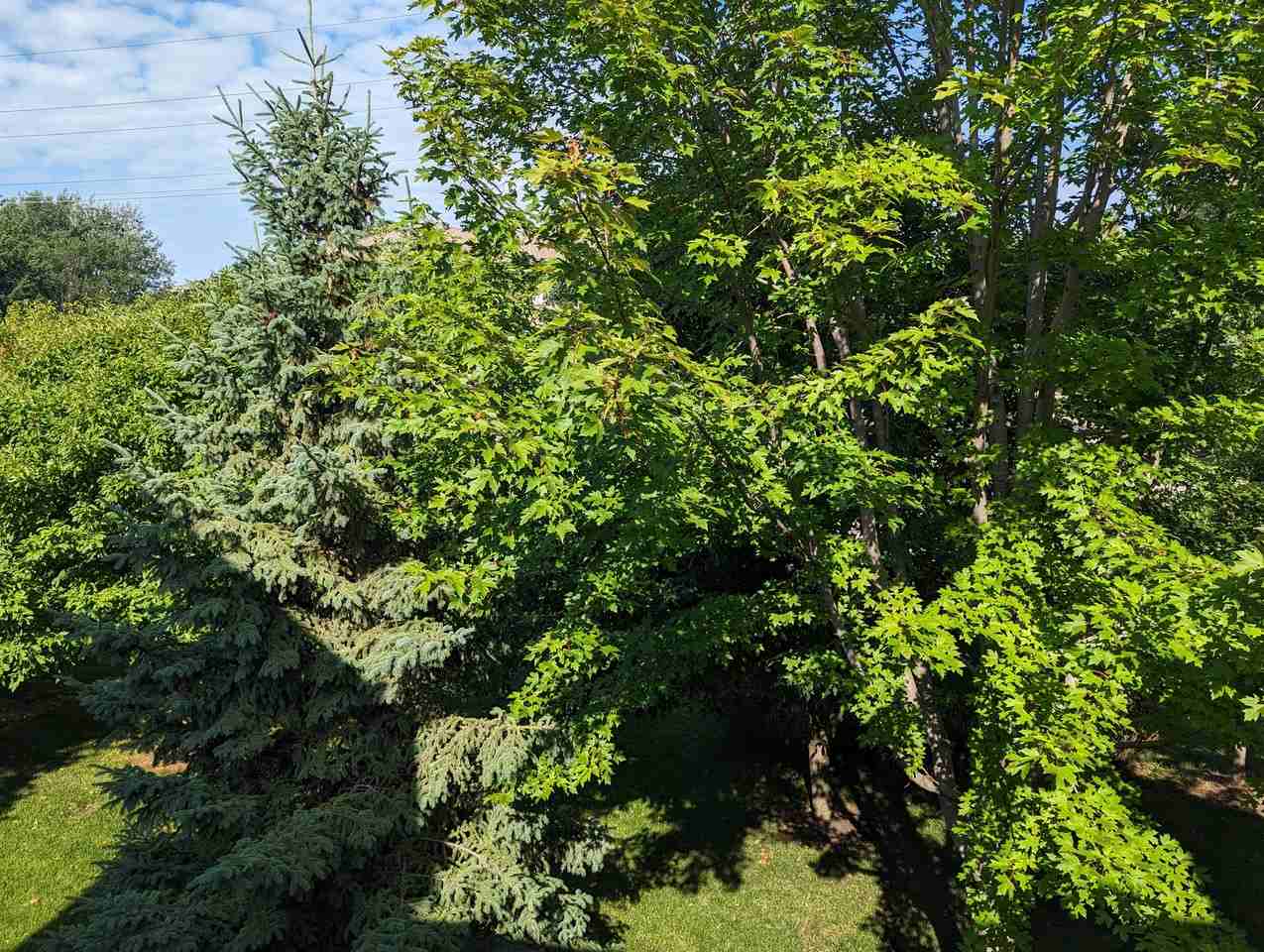 10857 S Shore Dr #1 - Photo 2 of 30