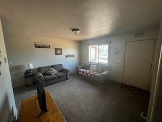 49 W Cedar Dr #1 - Photo 2 of 11