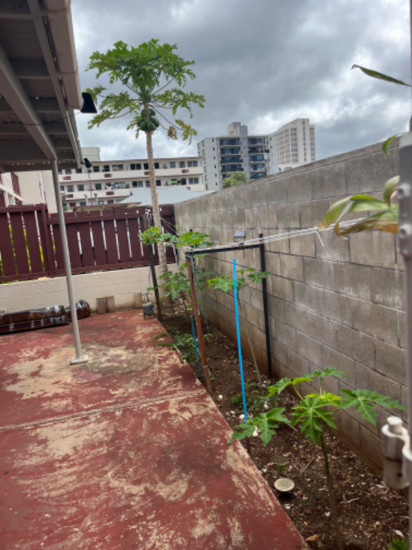 1238 Rycroft St #C - Photo 5 of 31