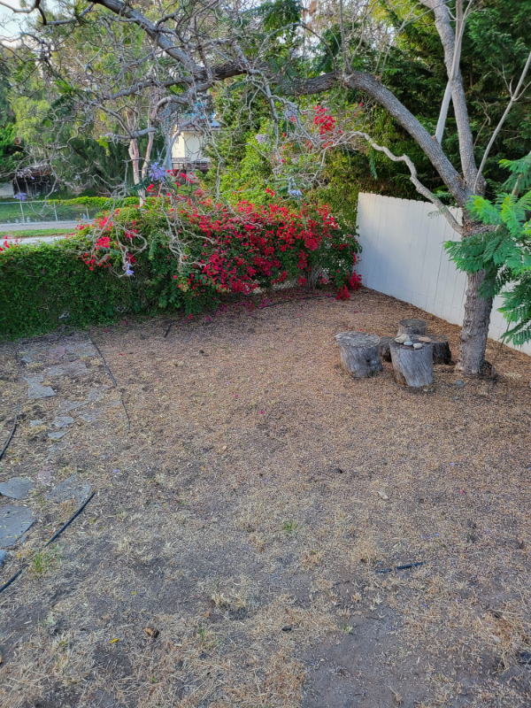 107 El Capitan Dr - Photo 2 of 10