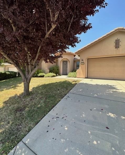 337 Pinnacle Ln - Photo 2 of 14