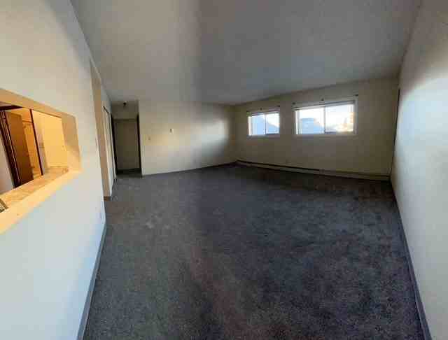 10312 95 Ave #106 - Photo 4 of 12