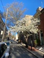 337 Gaskill Street - Photo 2 of 9