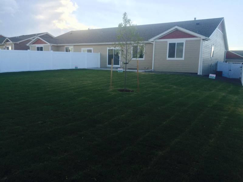 1229 Alyssa Way - Photo 3 of 17