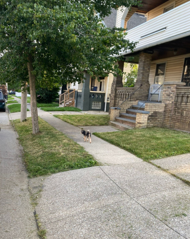 2801 E 125th St #2 - Photo 2 of 14