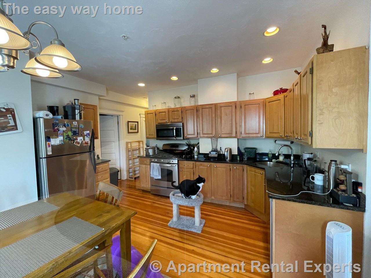 183 Rindge Ave #2 - Photo 4 of 21