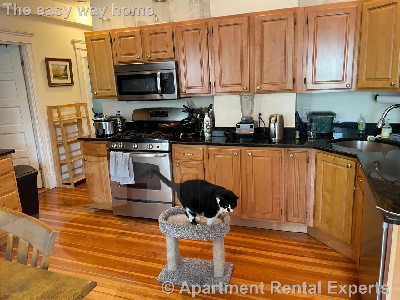 183 Rindge Ave #2 - Photo 5 of 21