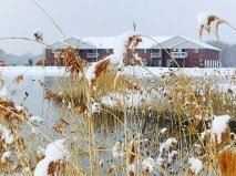 1633 RIVERBEND TERRACE - Photo 2 of 4