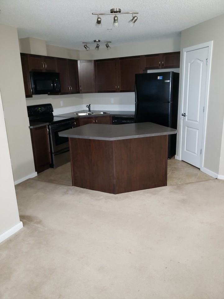 311 392 Silverberry Road Apartments 392 Silver Berry Rd Nw, Edmonton