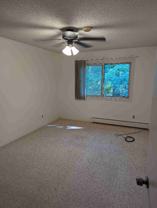 4407 Wilshire Blvd #205 - Photo 1 of 1