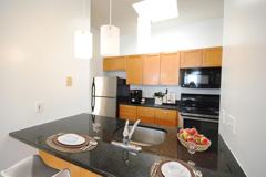 Landesman - Photo 1 of 1