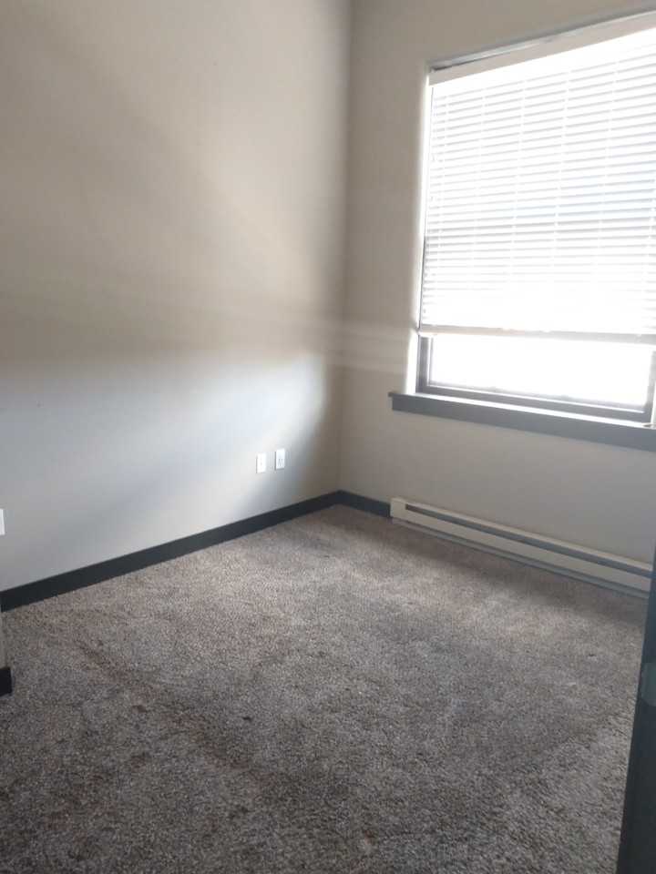 800 Isabel Bloom Way #3205 - Photo 3 of 16