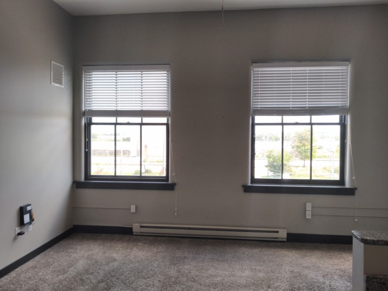 800 Isabel Bloom Way #3205 - Photo 4 of 16