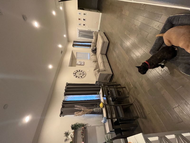 54 Villa St #A - Photo 6 of 16