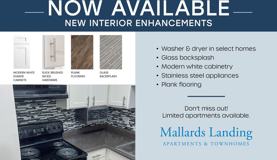 Mallards Landing Apartment Home - Photo 1 of 1