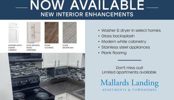 featured image of 4501 Packard Dr