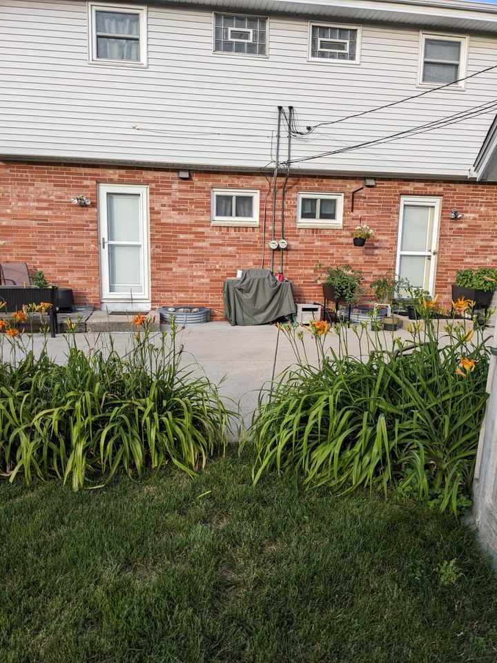 1007 North 119th Street - Photo 2 of 19