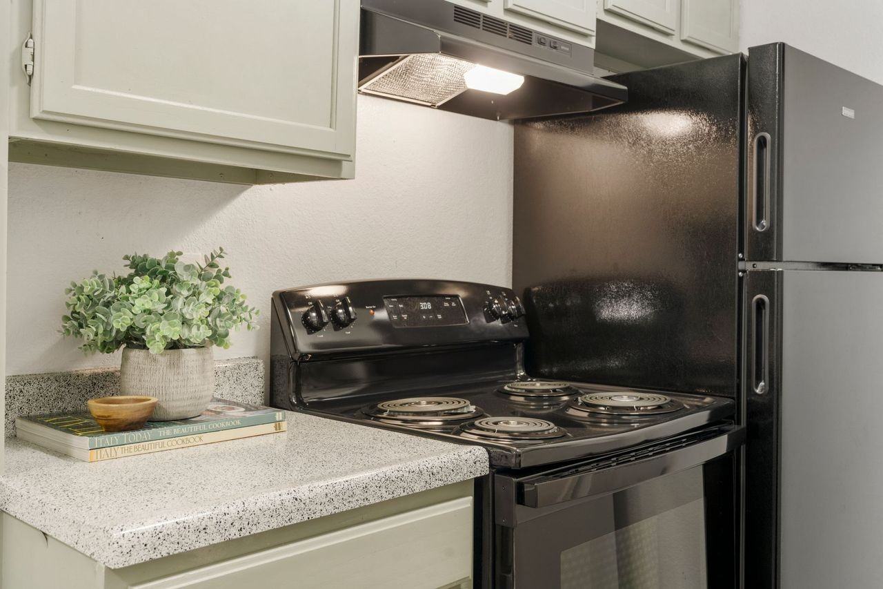 Forest Pointe Apartments - Photo 7 of 17