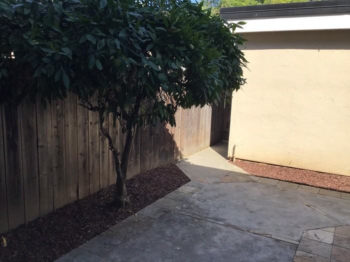 223 Incline Way - Photo 3 of 45