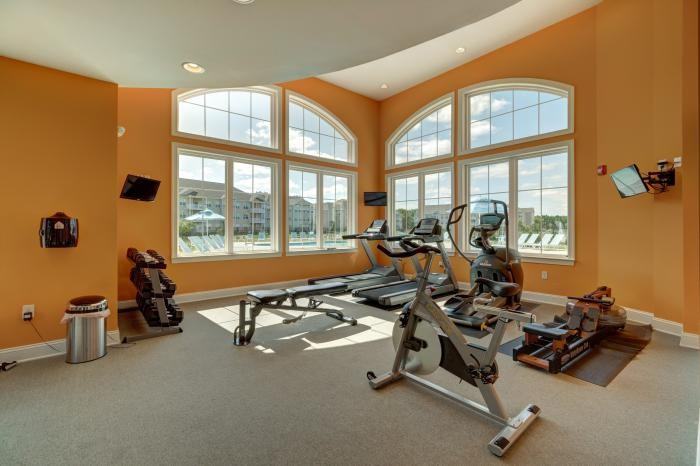 100 Isabelle Isle - Photo 5 of 10