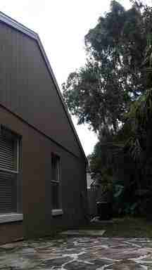 696 Silver Birch Pl - Photo 2 of 17