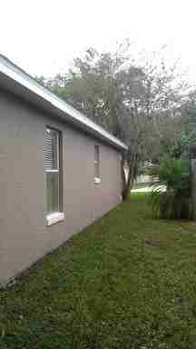 696 Silver Birch Pl - Photo 3 of 17