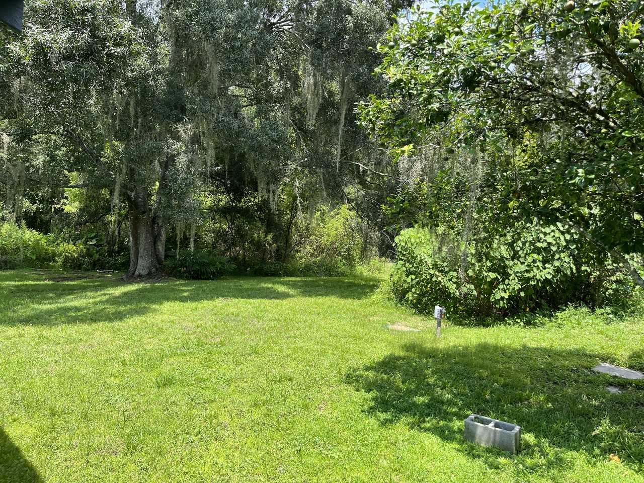 26521 Brahma Dr #NA - Photo 3 of 19