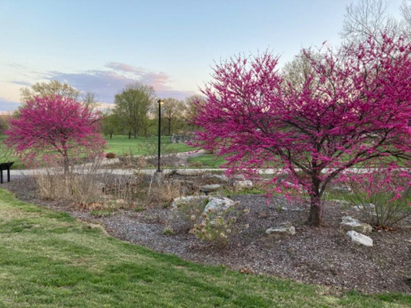 2511 Brookside Ct - Photo 3 of 11